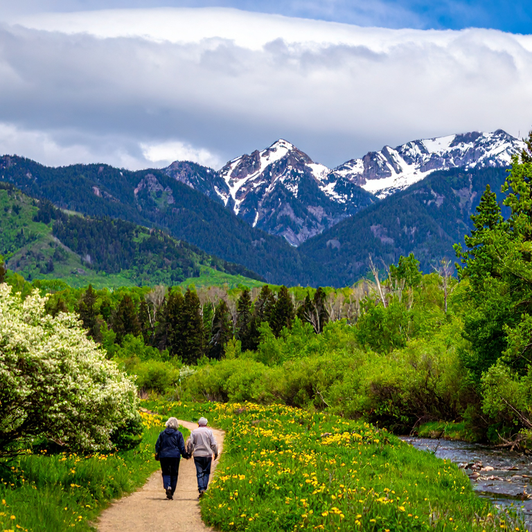 better wasatch walk
