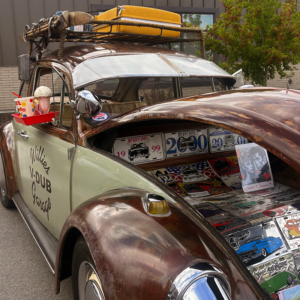 bug-stacked-1.webp